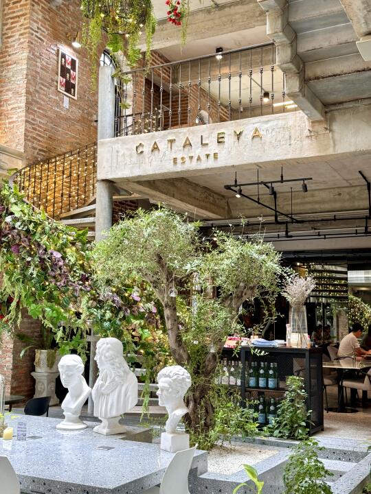 曼谷🇹🇭！！我唯一想再去100次的咖啡厅☕️！！