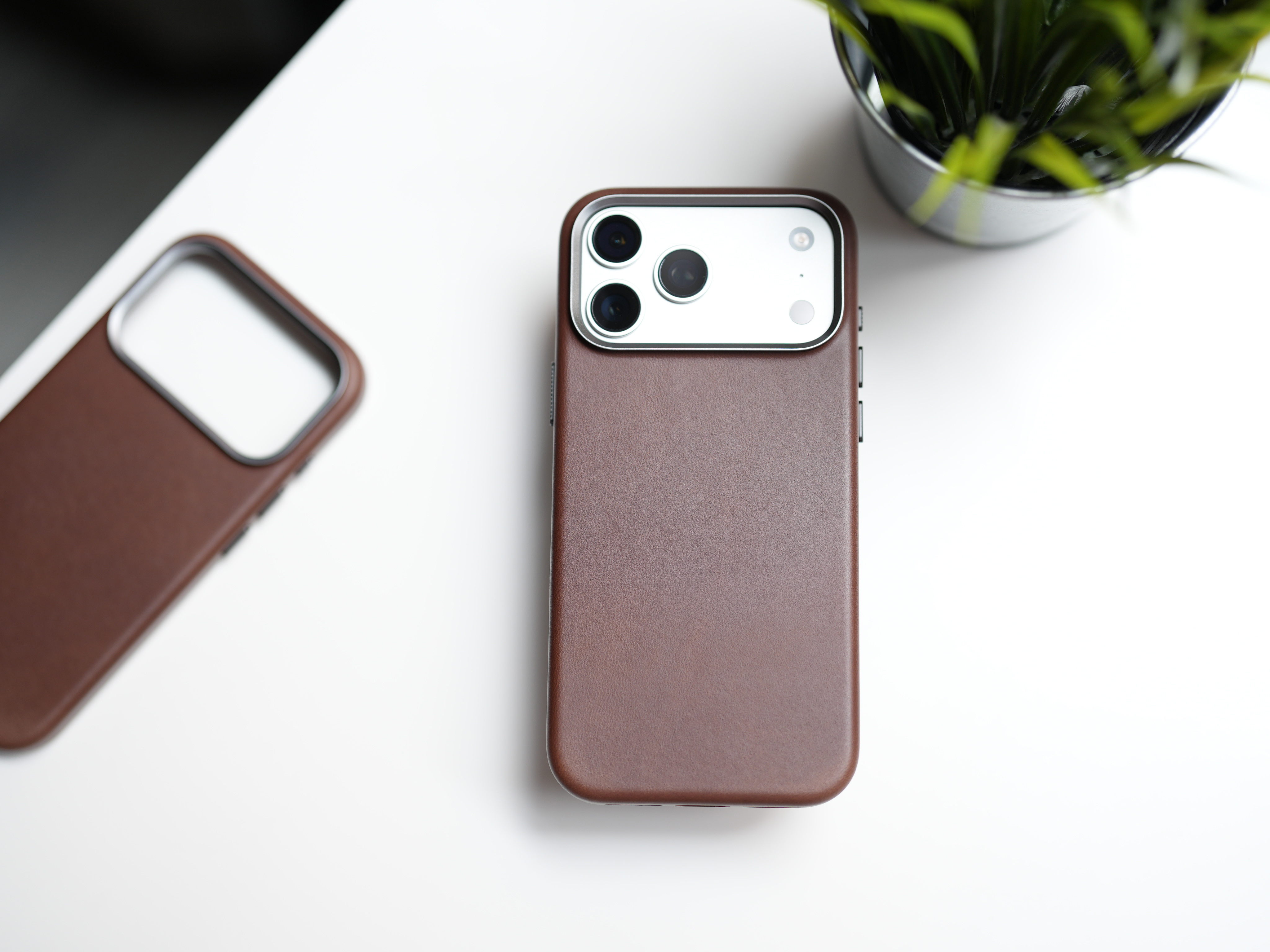 晚安💤 ​​​