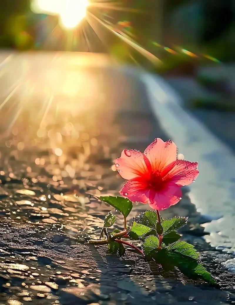 昨晚吃饭时，8岁的儿子，给我和他爸爸夹菜，而且夹给我们的，都是各自爱吃的。这小小