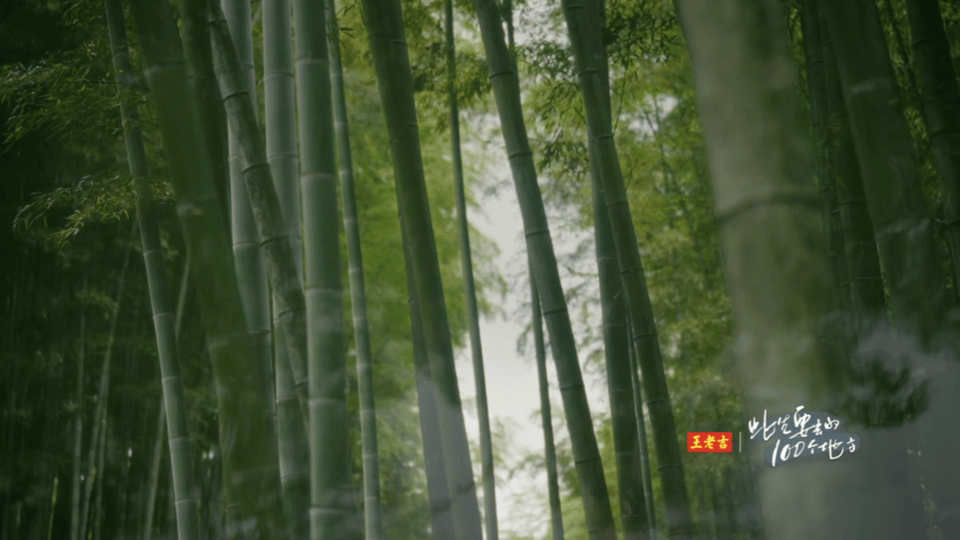 #没想到被一个综艺宣传片整饿了#这宣传片真的是太绝了，感觉宜宾真的是一个很美好的