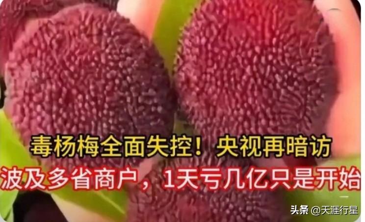 诚信经营有多重要？一天亏几亿只是开始！

        毒杨梅链条上的人，除了