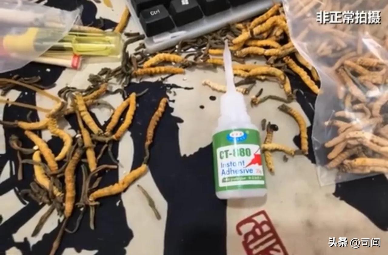 年销量20万根的冬虫夏草！
竟是用胶水拼接而成的！
员工：买的不是502胶水，是