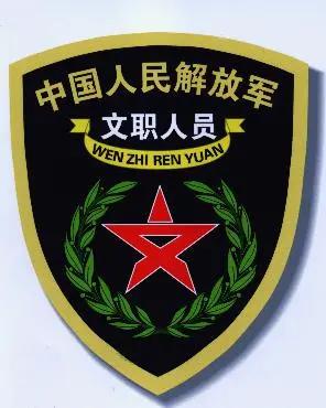 属于专科毕业生的编制
军队文职～专业技能岗，专科生稳拿的正规军队文职编制。不用卷