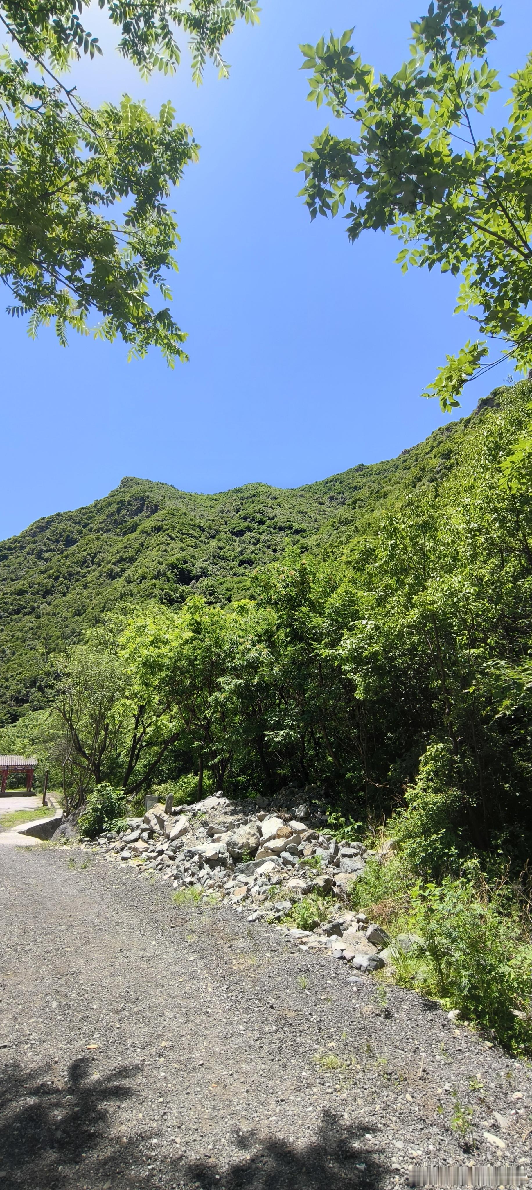 期货 都在说顺势而为，那支撑压力叫顺势而为么？上涨过程中，本就是多头，很多人看压