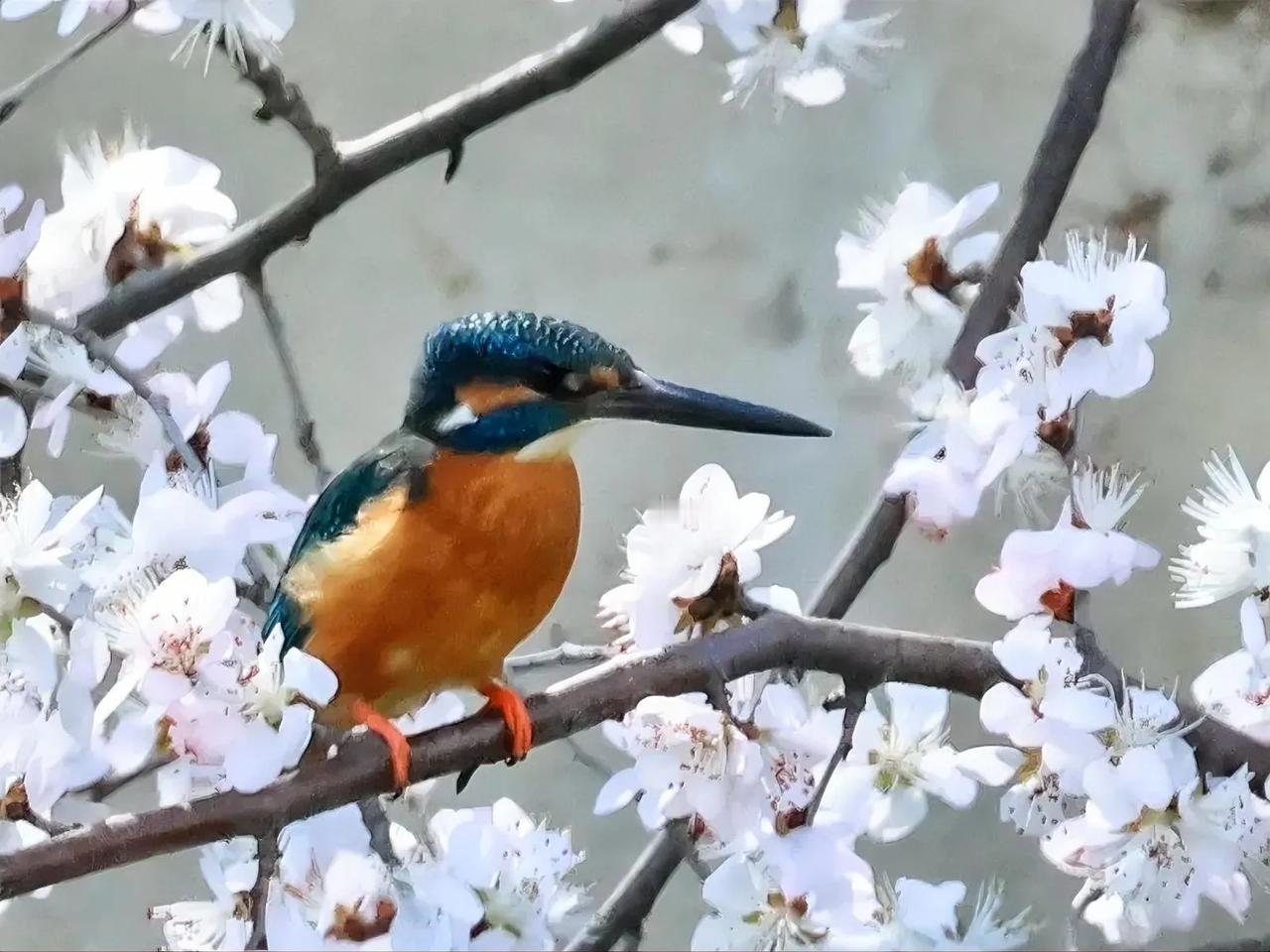 济南市随手拍