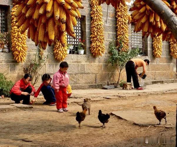 很多人的前辈确实是种地的，那又怎么样？难道种地的人，一辈子都种地才光荣吗？以前种
