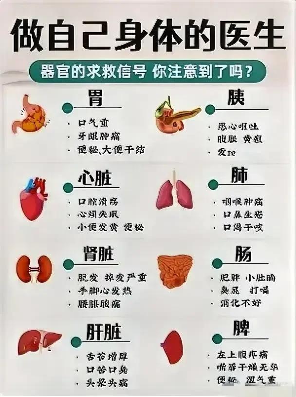 你有没有注意过自己身体的求救信号？今天我们就来聊聊如何通过身体信号来判断器官的健
