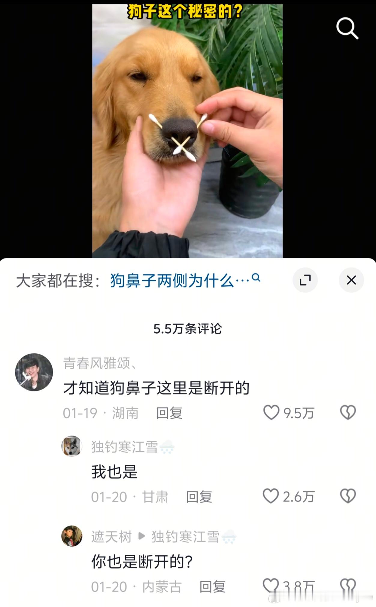 这是不是顶级理解力？笑发财了 