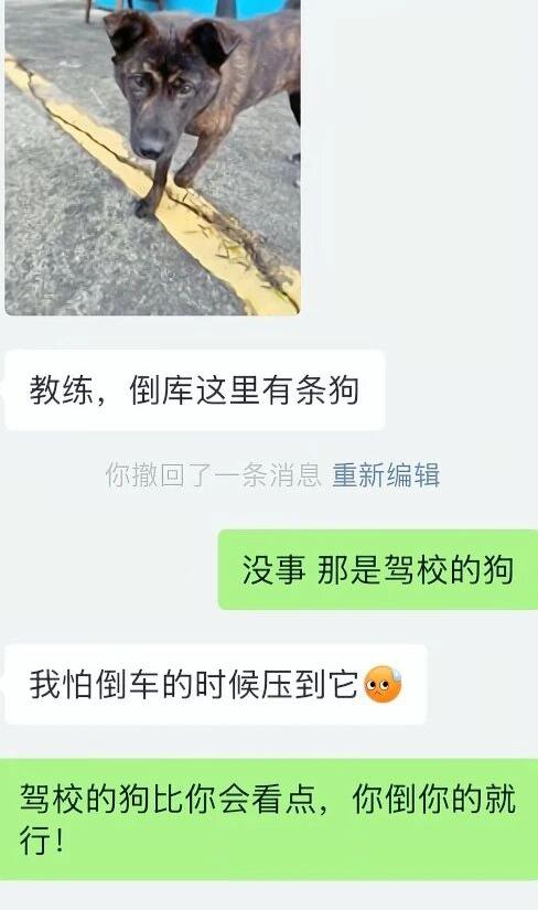 真是伤害不大，侮辱性极强啊！今天还真豁出去了，就算把它碰倒，也要把车倒进库。