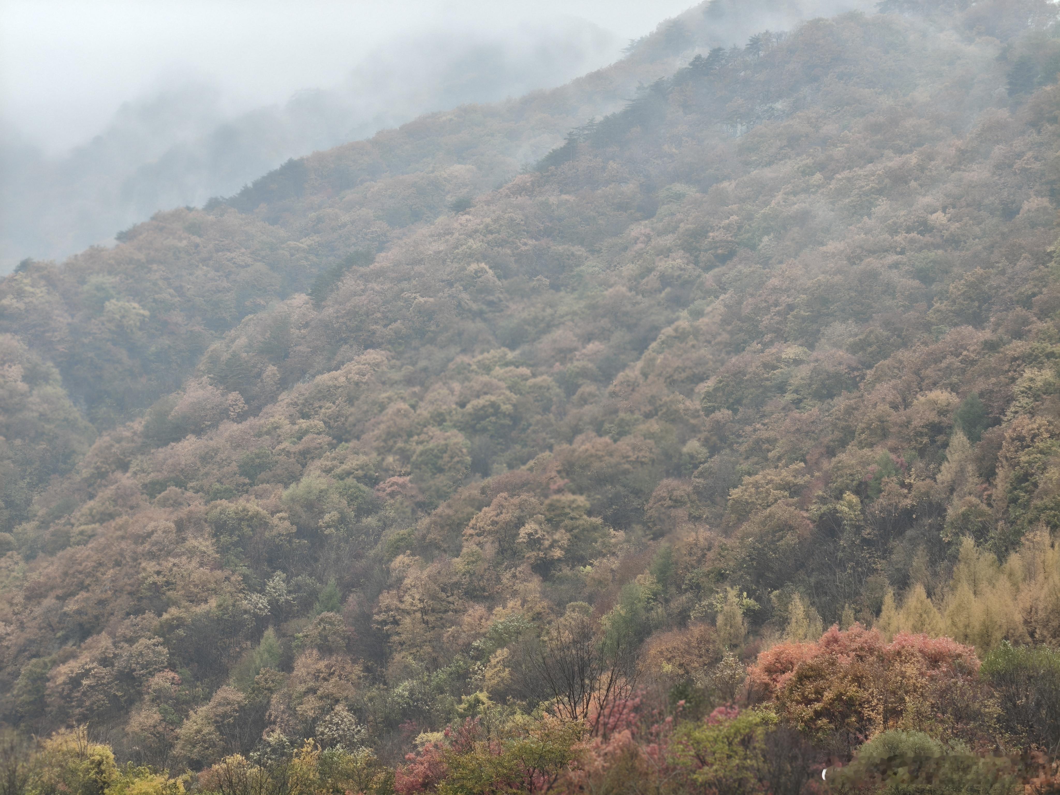 岁月不言，却藏尽冷暖悲欢 