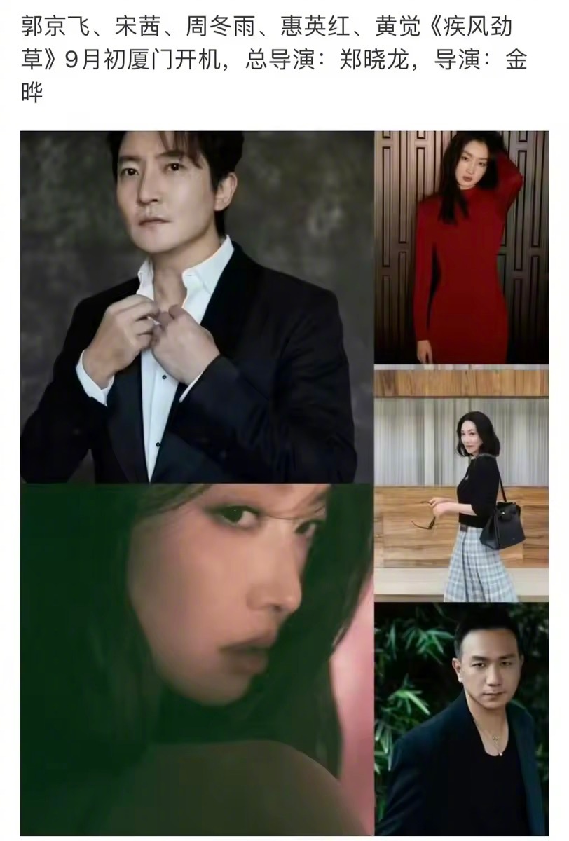 👖又码到了郑晓龙导演，今天官宣了《疾风劲草》，据说阵容已敲定：郭京飞+宋茜+周