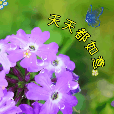 2026年5月27日 农历四月十一 星期三
 
农历四月十一，初夏风柔，草木繁茂