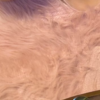 阳光信用阳光信用每日一善人生最好的状态，是每天醒来面朝阳光，嘴角上扬。不羡慕谁，