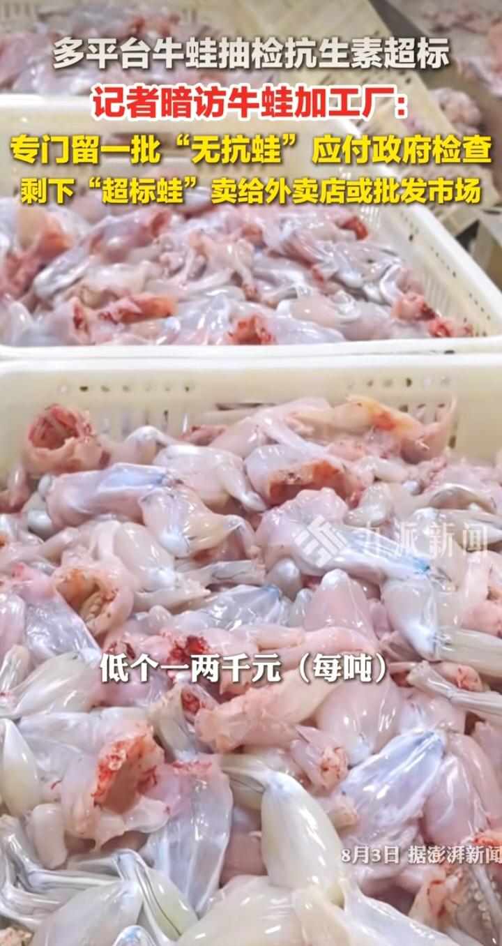 牛蛙“分档销售”：抗生素超标不是食品安全的“潜规则”
 
最近，多平台牛蛙抽检抗