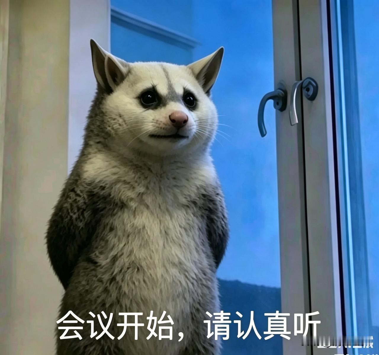 （退休倒计时352天）

每月一次的学习会，雷打不动。
20平米的会议室挤了一百