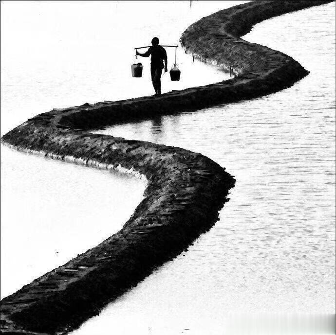 #人生感悟# 有些路走下去会很累，但是不走会后悔，人生没有对与错，只是选择后的坚