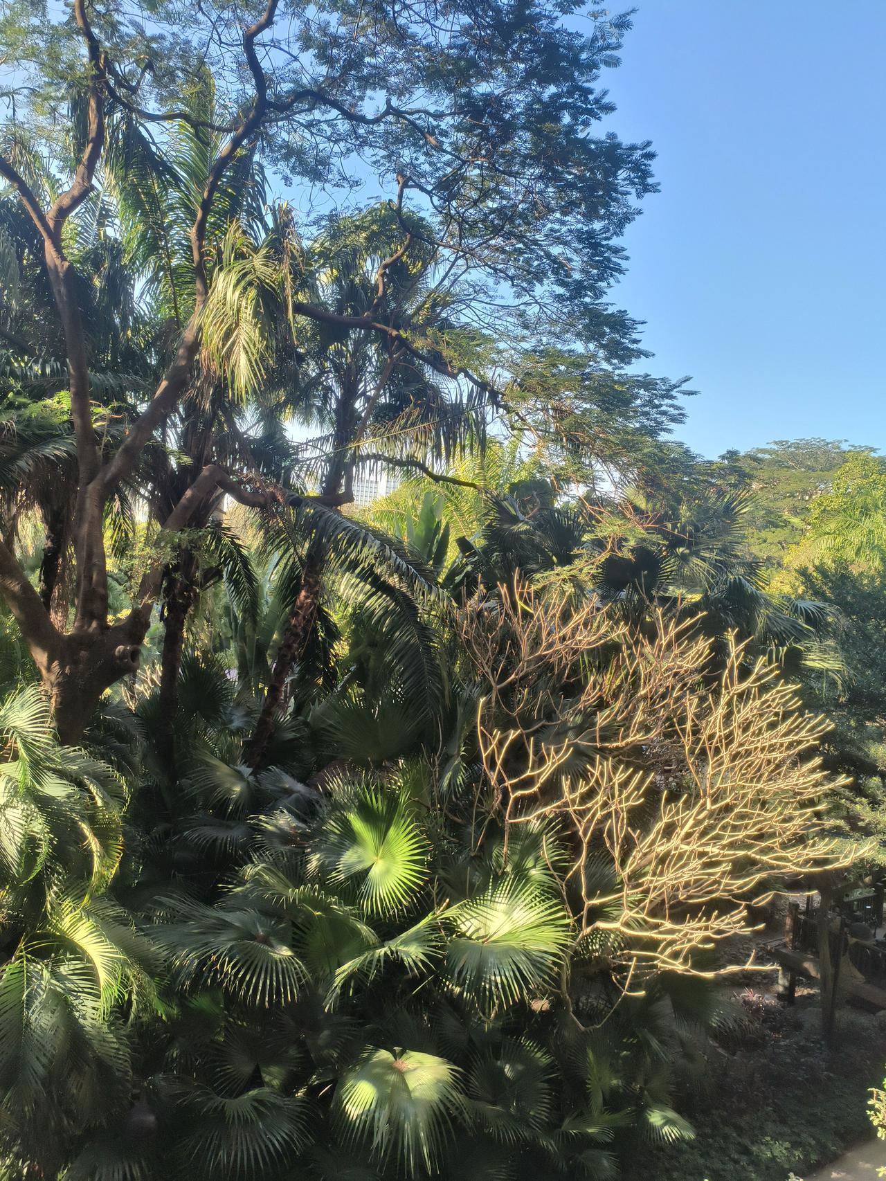 一张图证明冬天来了