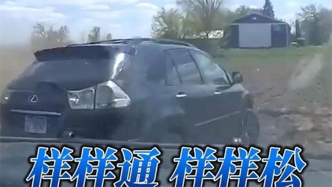 雷克萨斯RX登场，完美诠释样样通样样松#最后的自由