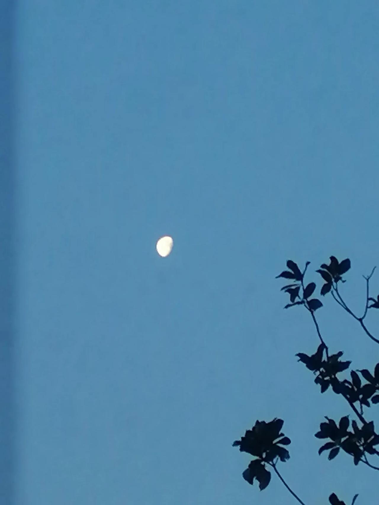 上联：星进小溪波有眼，
此句构思巧妙，与下联“月升东海浪含辉”对仗工整，营造出美