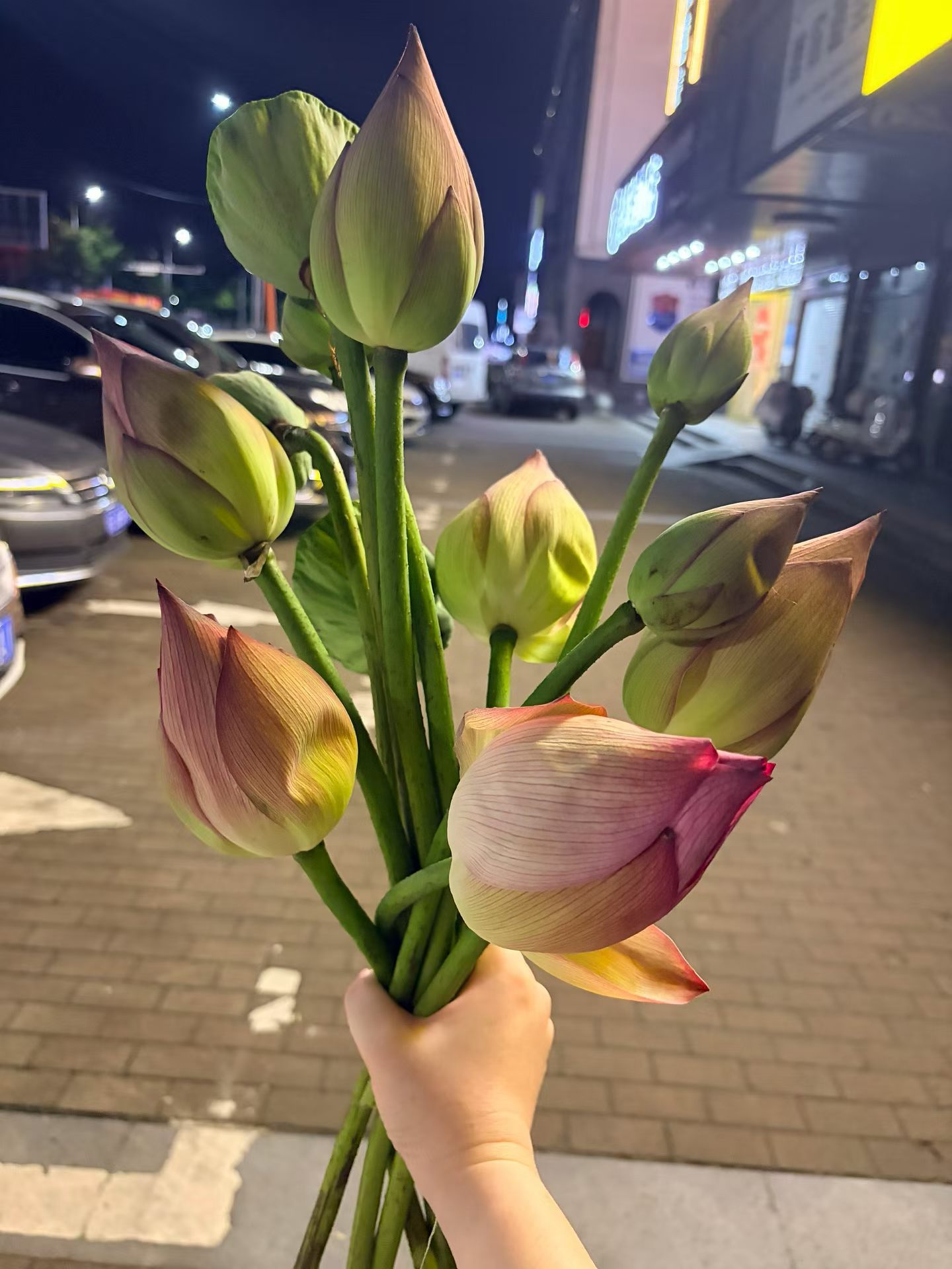 街上有卖荷花和莲蓬的，10块钱买一大把。人应该善待过去的自己人应该善待过去的自己