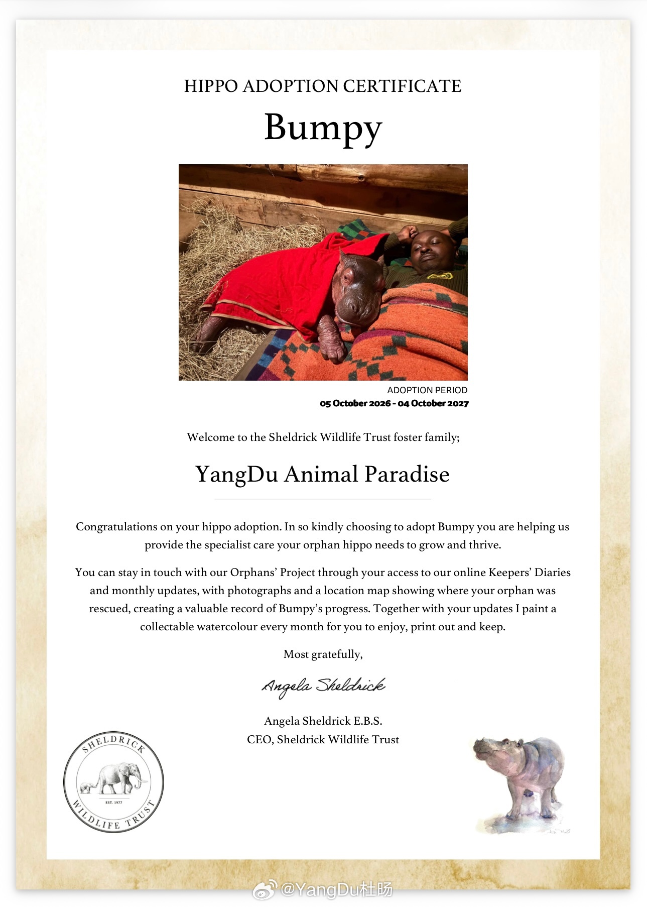 YangDu动物乐园（小河马弟弟Bumpy）的领养证书，想要原件的小伙伴欢迎私信