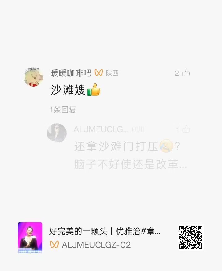 还拿沙滩门打压？脑子不好使还是改革开放把你屏蔽了？你在沙滩不穿比基尼穿羽绒服是吗