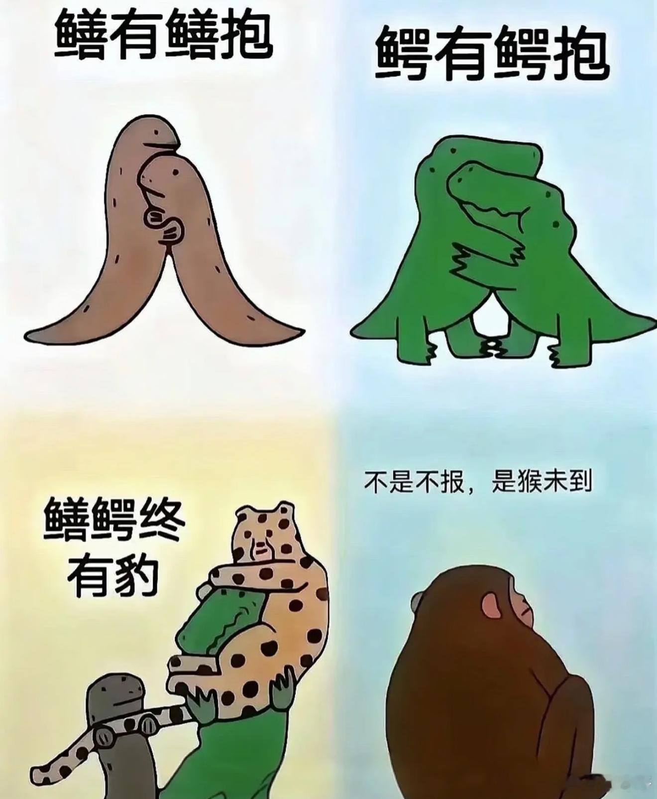洋相还得杨人出 ​​​