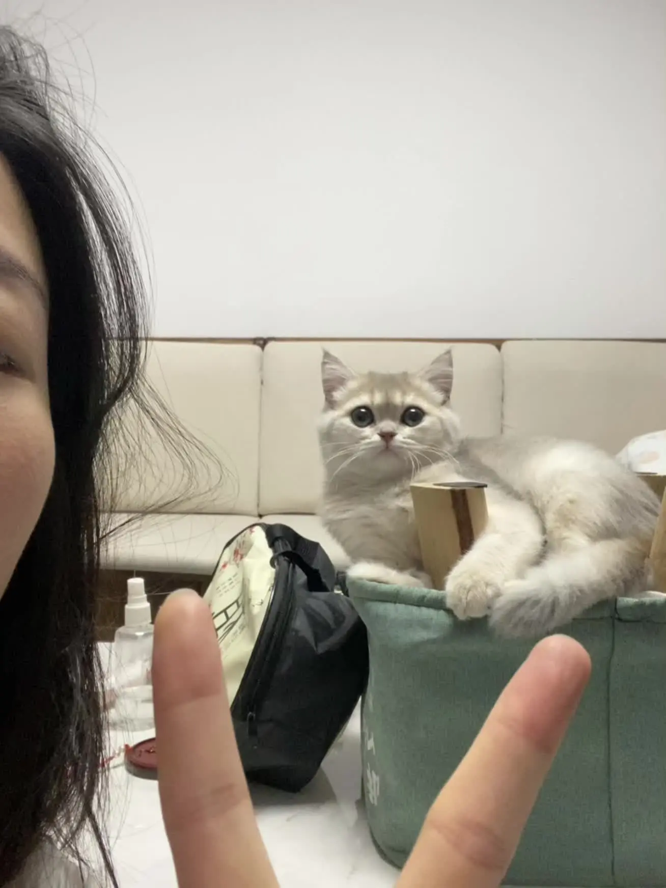 oi小猫有点火热啊