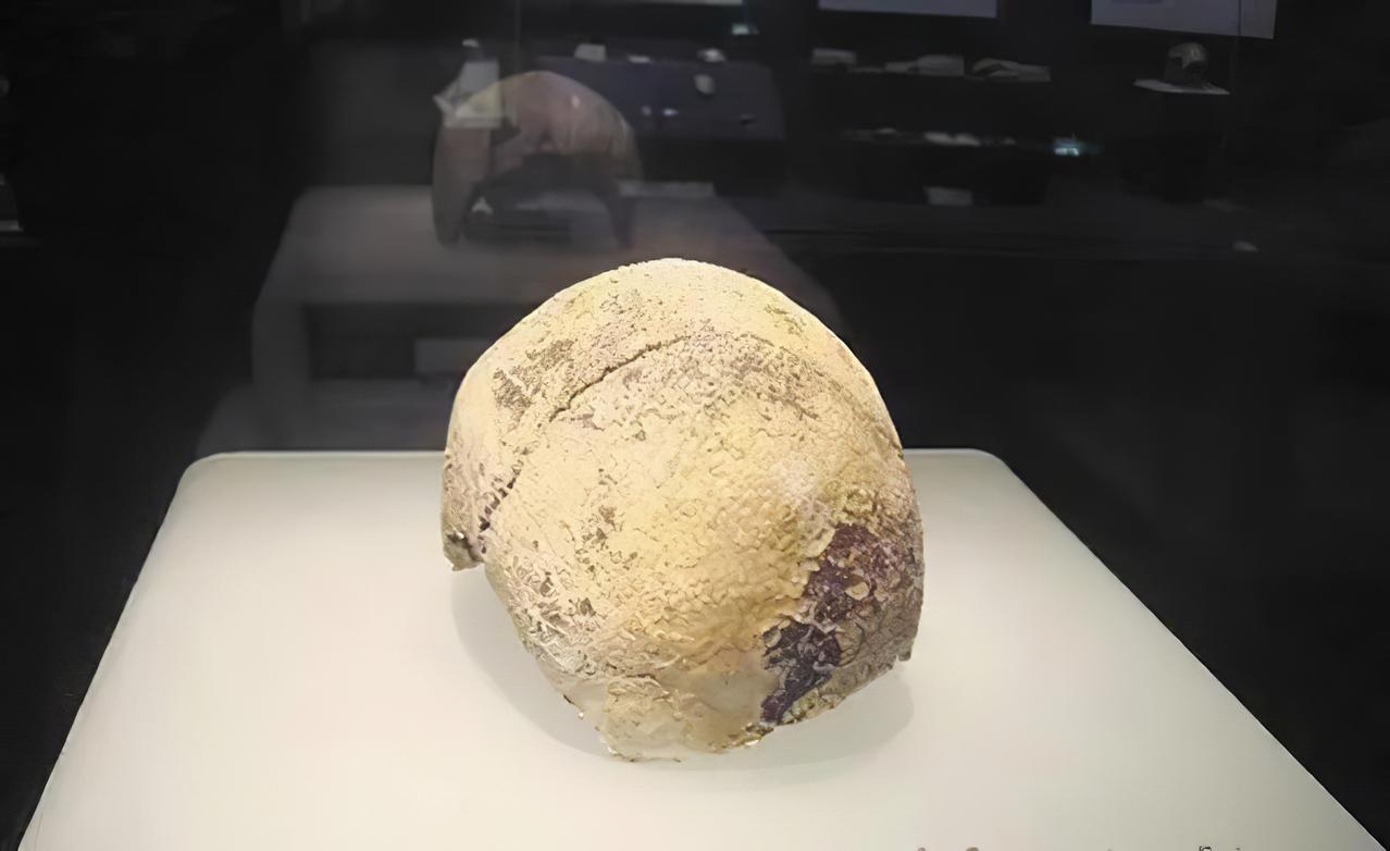 1997年底，武汉市汉南区环保局干部毛凑元的太太在打扫自己先生书房的时候突然在书