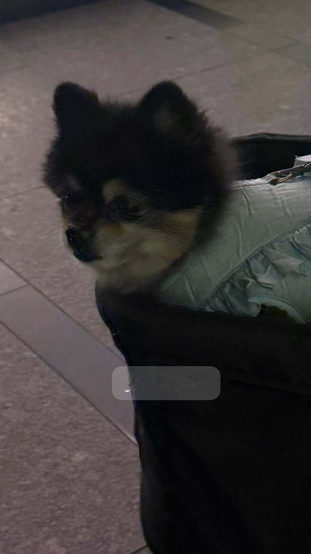 “CB百蓝_。260607金钟云 ins story更新： 