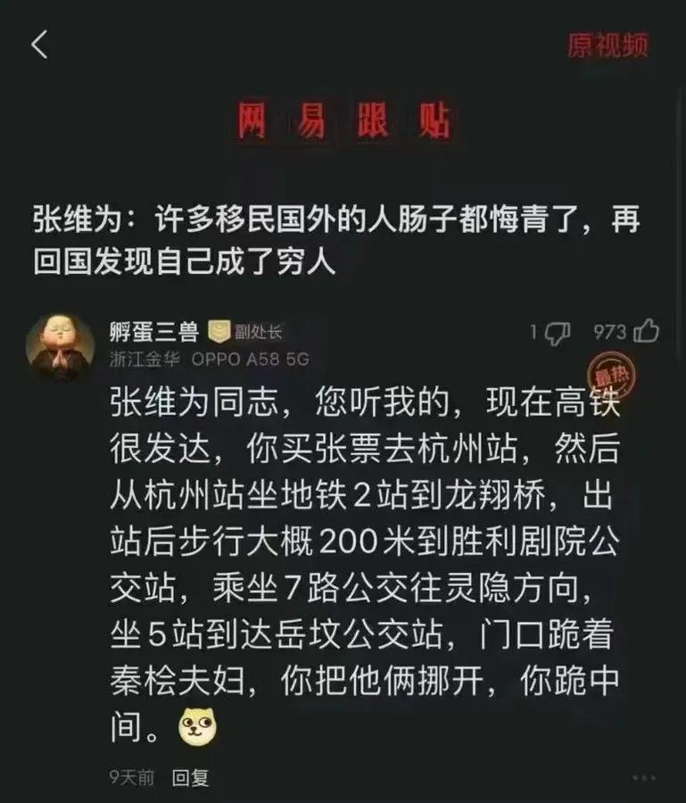 既然如此，张维为老师为什么还移到瑞士呢？

我对此十分不理解。