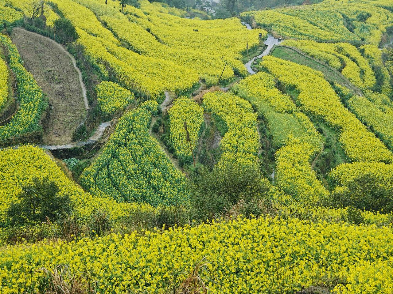 人生最大的安全感来源于自己，来源于每一份不遗余力的努力。