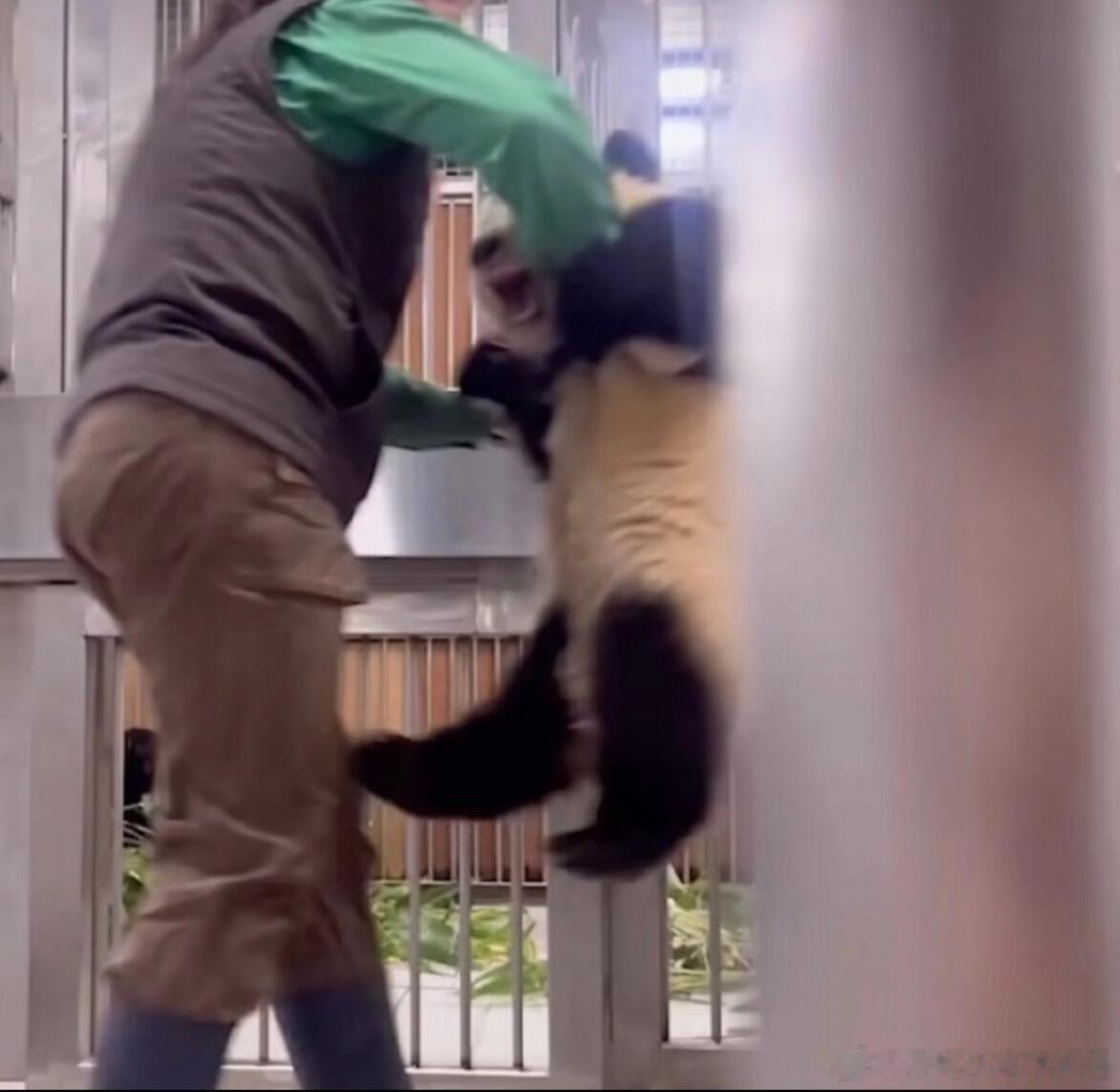 辉宝：我和你拼了！！！ ​​​