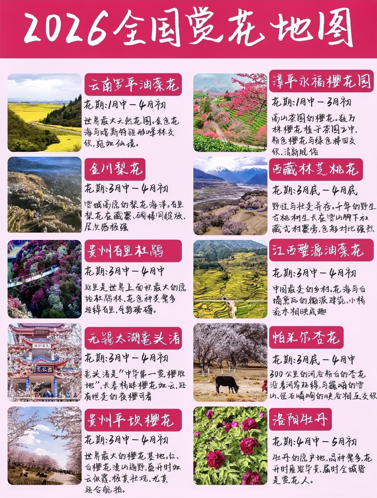 2026年赏花地图，花季时间表。