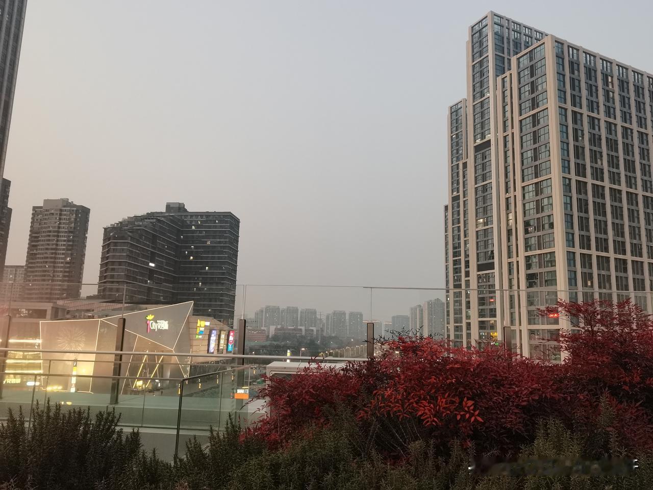 打哈欠真的传染哈

大早晨被安装纱窗的折腾的爬起来就往新房跑。

坐在公交上困的