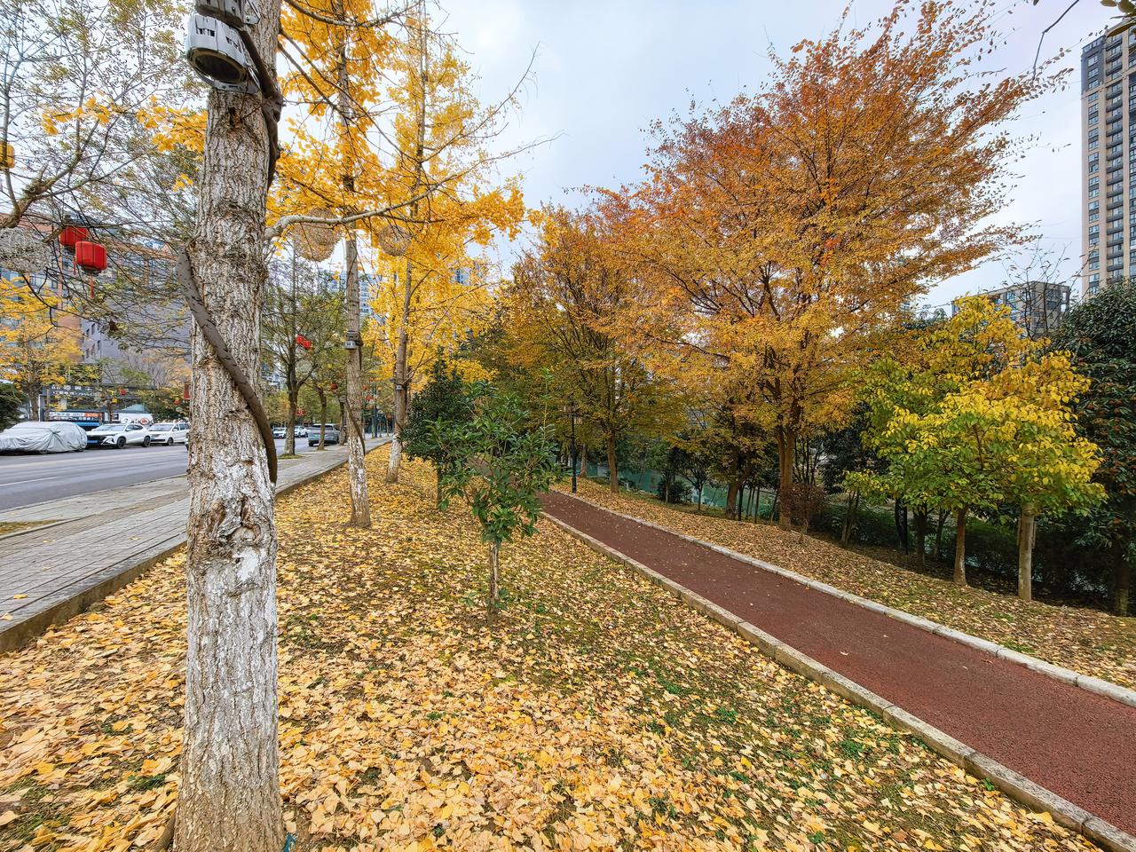远去的已远去，留不住希望。
浮沉之间，已然落幕。