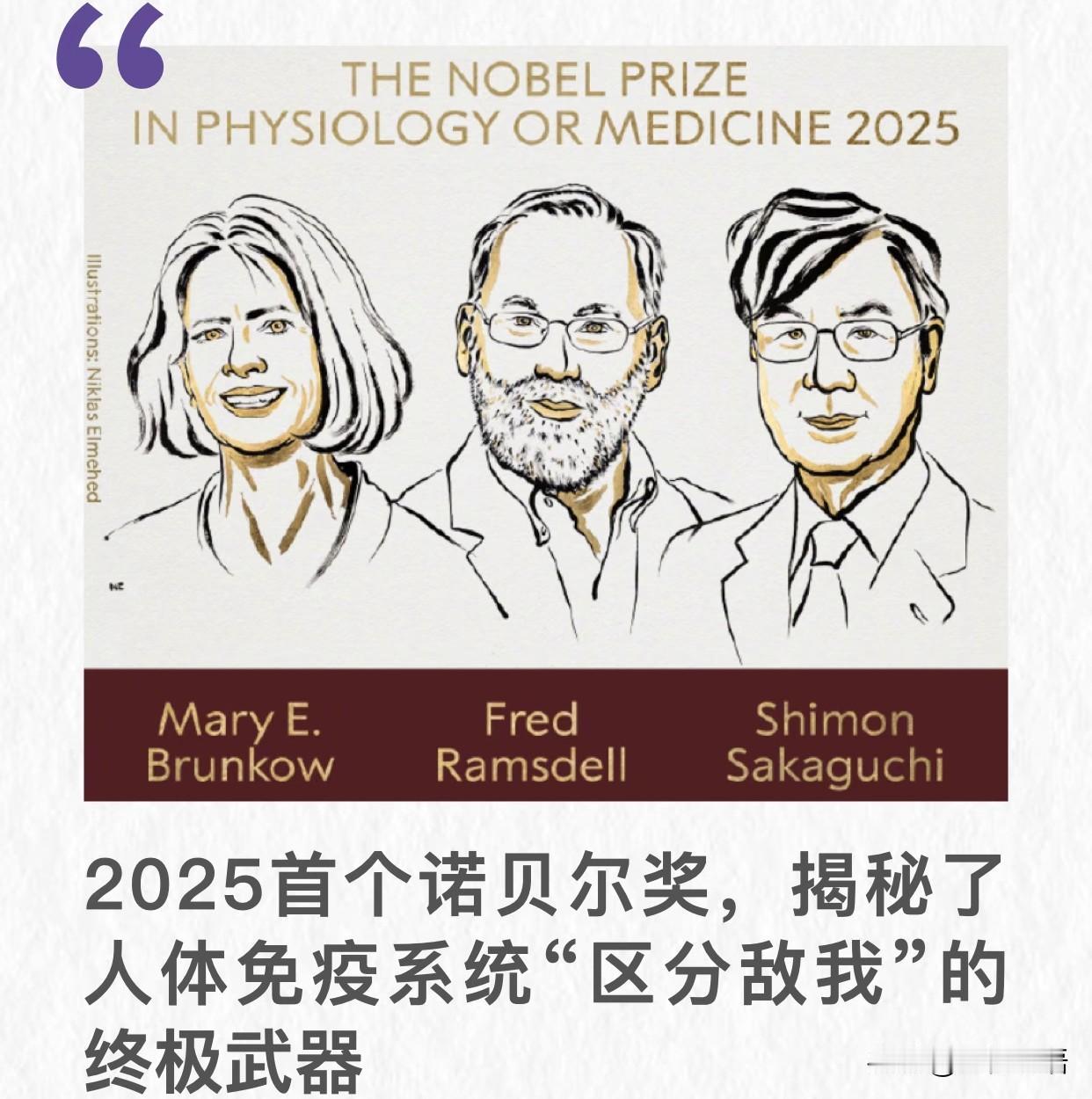 2025诺奖这剧情，比短剧还疯！

谁懂啊！今年诺奖得主的故事，比我追的爽文还离