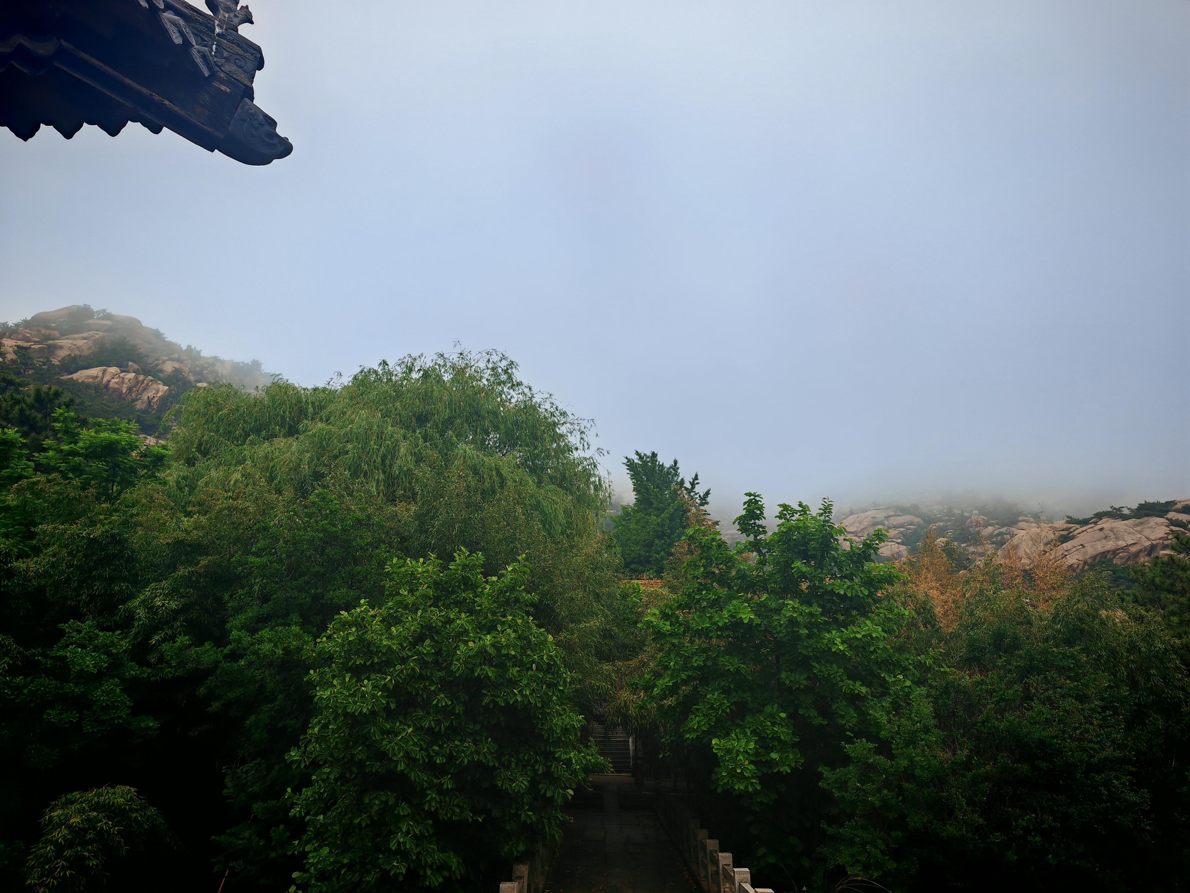 午后口占山雨绝尘客，天风荡仙翮。野人带醉吟，率性乖诗格。老子入玄门，先生本无宅。