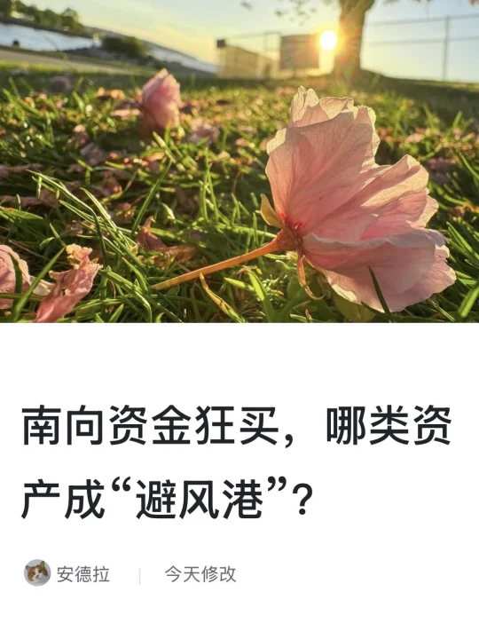 南向资金狂买，哪类资产成“避风港”？