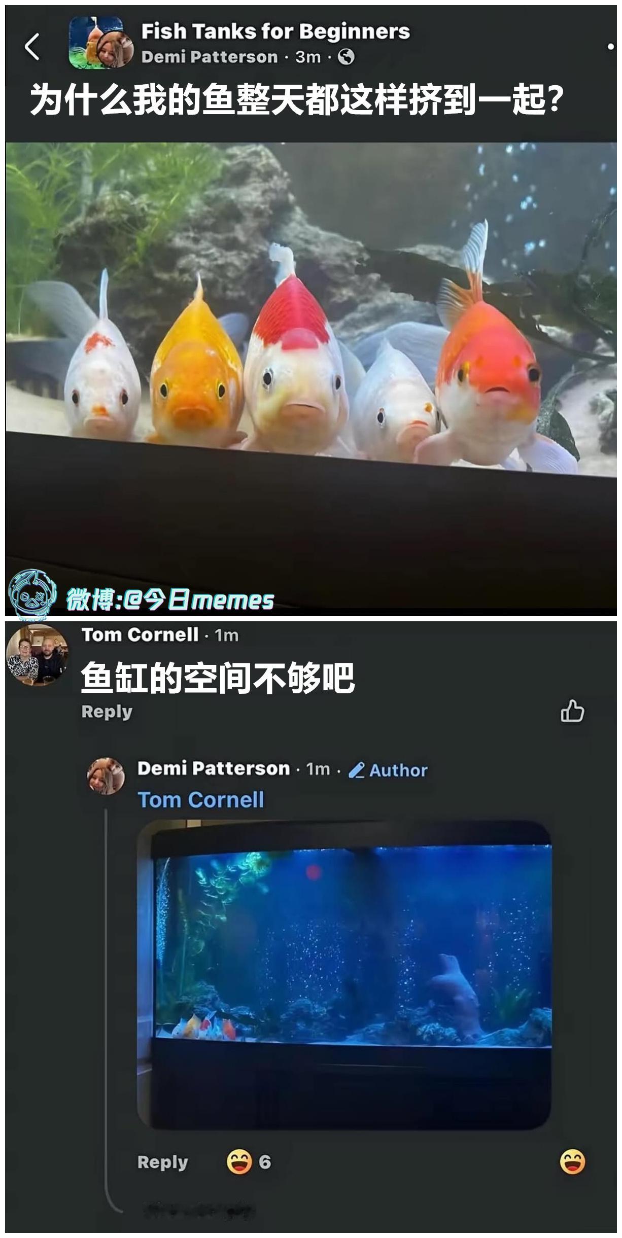 只认识（9gag）今日meme今日memes