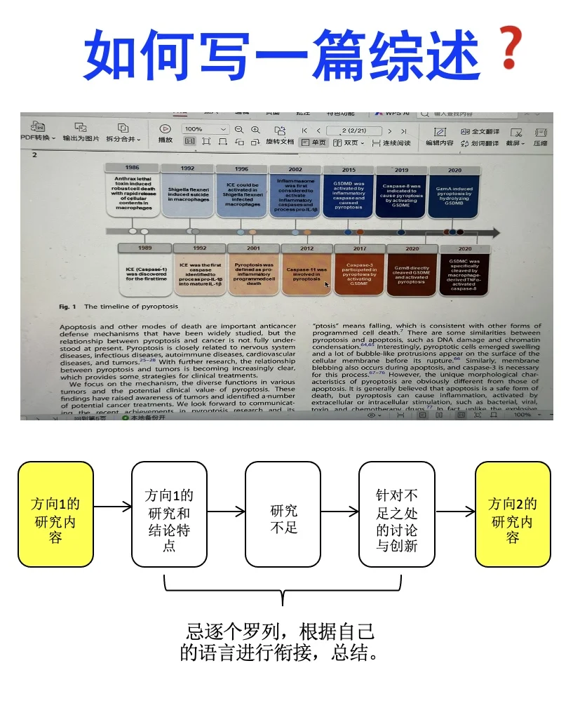 手把手教写一篇综述（保姆级建议）‼️🥸