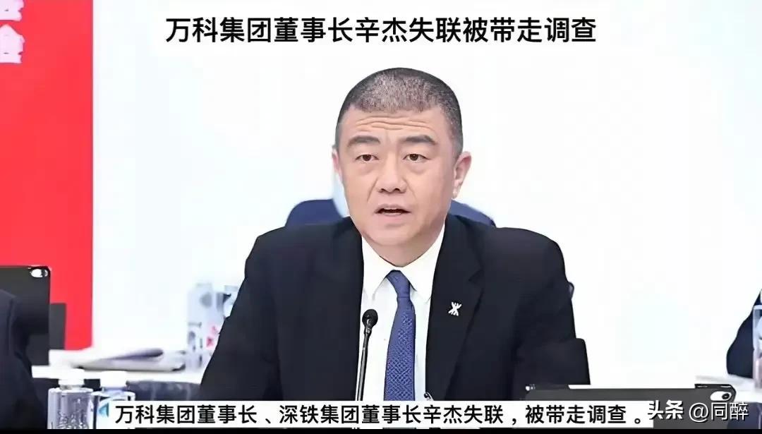 倒查风暴起，万科高管齐退薪！

2025年1月，郁亮、祝九胜、朱旭等万科高管集体