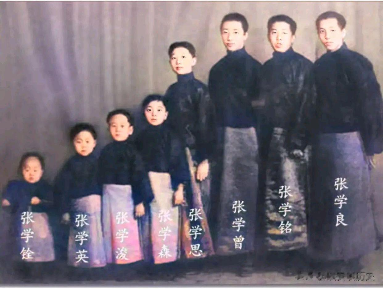 1927年，沈阳大帅府，张作霖的八个儿子整齐地排成一排，面对摄影师的镜头，留下了