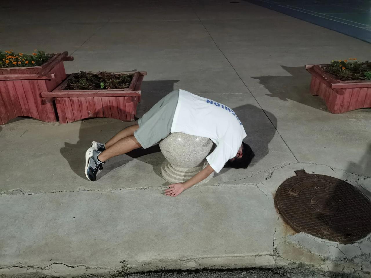 山前山后各有哀愁，有风无风都不自由。