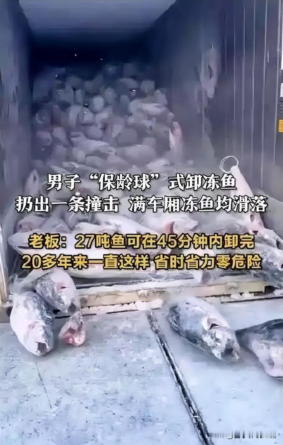 近日，在某码头，工人们上演了一场别开生面的卸货“表演”。面对堆积如山的冻鱼，他们