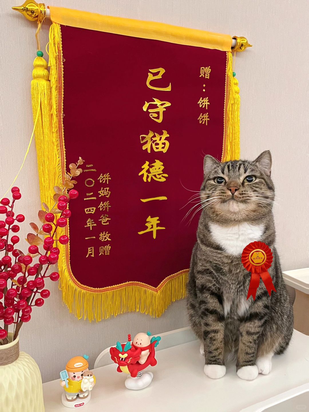 猫咪调皮，但猫咪得锦旗！