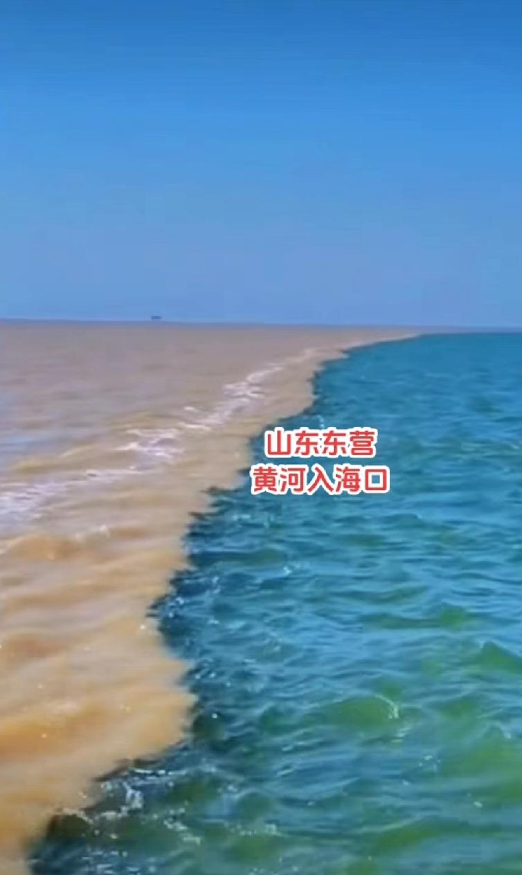 黄河入海口在山东东营这座海滨小城，它有着独特的魅力。历史上黄河多次决口改道，下游