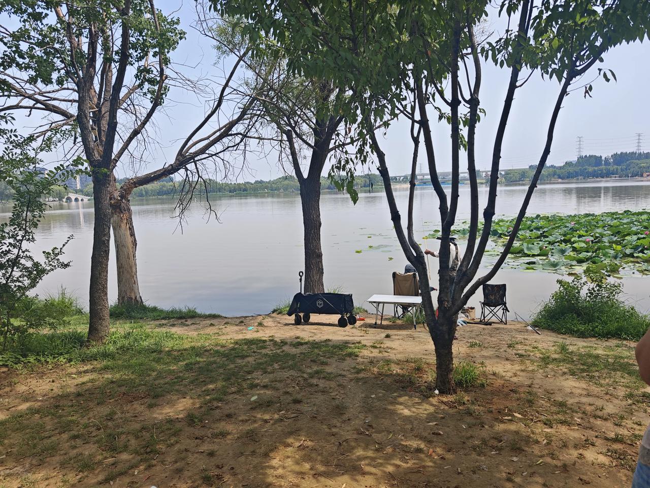 湖畔野餐，绿树成荫，享受宁静的时光