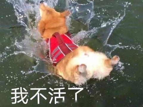 现在版权太严，连长度超过两分钟的比赛视频都会被删，所以想看法网比赛消息或者精彩片