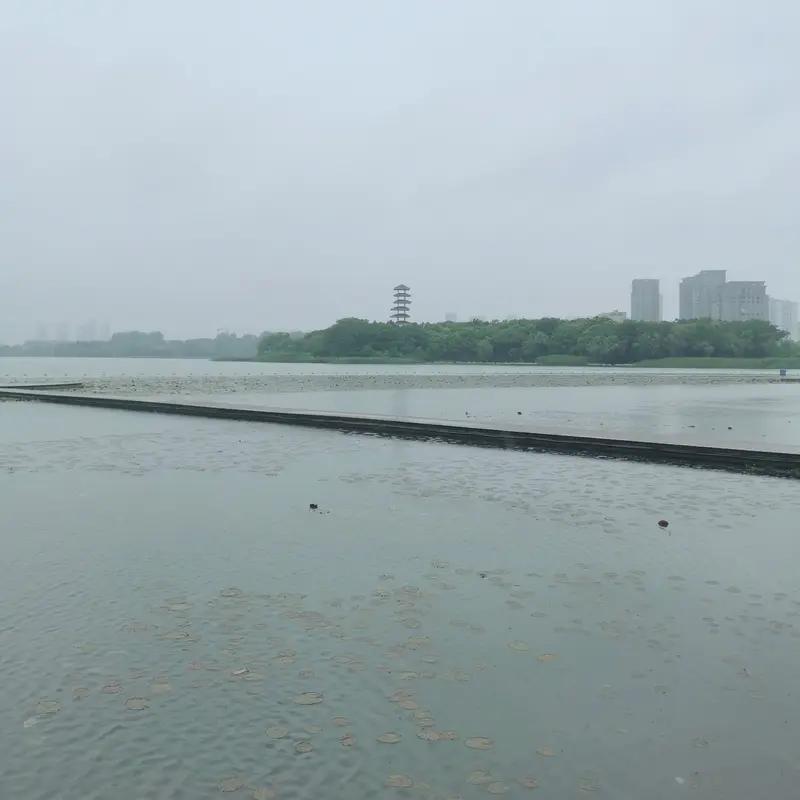 踏遍江南烟雨季，用镜头定格青瓦白墙映碧水、油纸伞下影娉婷的中式意境，把梦里的水墨